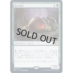 画像1: [EX+](FOIL)漁る軟泥/Scavenging Ooze《日本語》【M21】