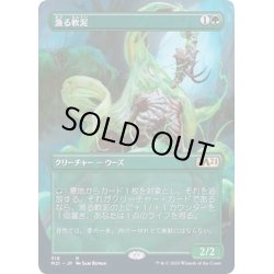 画像1: [EX](FOIL)(フルアート)漁る軟泥/Scavenging Ooze《日本語》【M21】