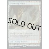 [EX](FOIL)燻る湿地/Smoldering Marsh《英語》【EXP】