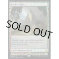 [EX](FOIL)燃えがらの林間地/Cinder Glade《英語》【EXP】