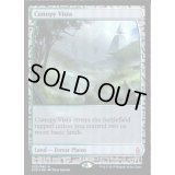 [EX+](FOIL)梢の眺望/Canopy Vista《英語》【EXP】