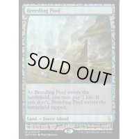 [EX](FOIL)繁殖池/Breeding Pool《英語》【EXP】