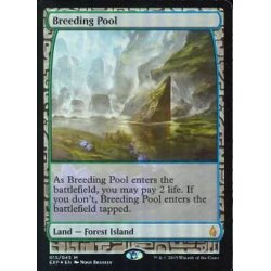 画像1: [PLD](FOIL)繁殖池/Breeding Pool《英語》【EXP】