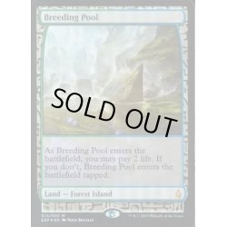 画像1: [EX+](FOIL)繁殖池/Breeding Pool《英語》【EXP】