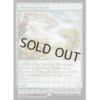 (FOIL)吹きさらしの荒野/Windswept Heath《英語》【EXP】