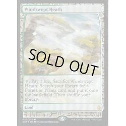 画像1: [EX](FOIL)吹きさらしの荒野/Windswept Heath《英語》【EXP】