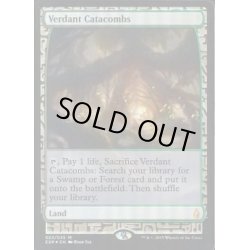 画像1: [EX](FOIL)新緑の地下墓地/Verdant Catacombs《英語》【EXP】