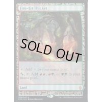 [PLD](FOIL)火の灯る茂み/Fire-Lit Thicket《英語》【EXP】