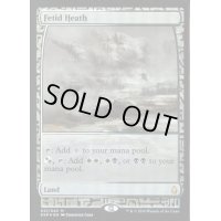 (FOIL)悪臭の荒野/Fetid Heath《英語》【EXP】