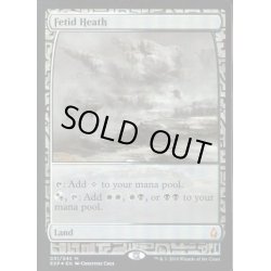 画像1: (FOIL)悪臭の荒野/Fetid Heath《英語》【EXP】