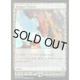 [EX](FOIL)岩だらけの大草原/Rugged Prairie《英語》【EXP】
