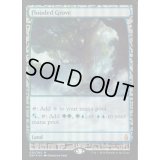 [EX+](FOIL)溢れかえる果樹園/Flooded Grove《英語》【EXP】