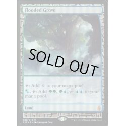 画像1: [EX](FOIL)溢れかえる果樹園/Flooded Grove《英語》【EXP】