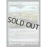 (FOIL)地平線の梢/Horizon Canopy《英語》【EXP】