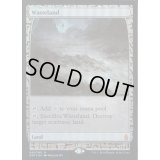 [EX](FOIL)不毛の大地/Wasteland《英語》【EXP】