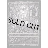 [EX+](354)不気味な辺境林/Grim Backwoods《英語》【SLD】