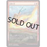 [EX+]光輝の炎/Radiant Flames《日本語》【Game Day Promos】