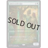 [EX+]議事会の自然主義者/Conclave Naturalists《日本語》【Game Day Promos】