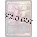 [EX+](FOIL)墓所生まれの恐怖/Cryptborn Horror《日本語》【Game Day Promos】