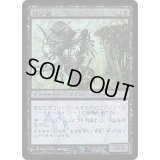 [EX+]狂い婆/Mad Auntie《日本語》【Arena Promos】