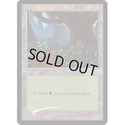 画像1: (FOIL)(ベータ)森/Forest《英語》【Arena Promos】