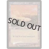 (FOIL)(USG)平地/Plains《英語》【Arena Promos】