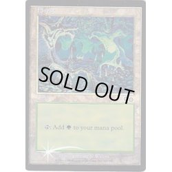 画像1: (FOIL)(USG)森/Forest《英語》【Arena Promos】