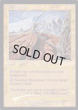 (FOIL)不毛の大地/Wasteland《英語》【Magic Player Rewards】