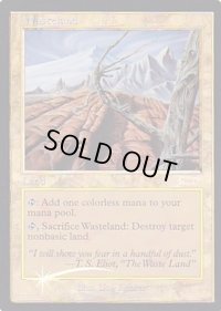 (FOIL)不毛の大地/Wasteland《英語》【Magic Player Rewards】