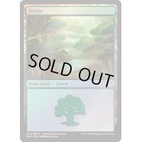 (FOIL)森/Forest《英語》【Showdown】