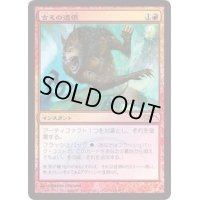 (FOIL)古えの遺恨/Ancient Grudge《日本語》【FNM Promos】
