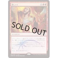 (FOIL)癇しゃく/Fiery Temper《日本語》【FNM Promos】
