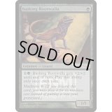 [EX+](FOIL)日を浴びるルートワラ/Basking Rootwalla《英語》【FNM Promos】