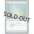 [EX+](FOIL)耕作/Cultivate《日本語》【FNM Promos】