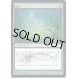 (FOIL)耕作/Cultivate《日本語》【FNM Promos】