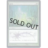 (FOIL)耕作/Cultivate《日本語》【FNM Promos】