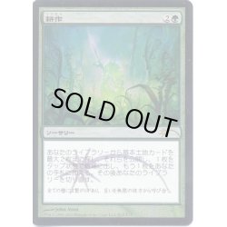 画像1: [EX+](FOIL)耕作/Cultivate《日本語》【FNM Promos】