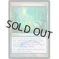 [EX+](FOIL)耕作/Cultivate《英語》【FNM Promos】