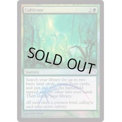 画像1: [EX+](FOIL)耕作/Cultivate《英語》【FNM Promos】