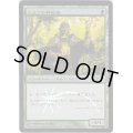 [EX+](FOIL)エルフの神秘家/Elvish Mystic《日本語》【FNM Promos】