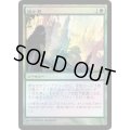 (FOIL)遥か見/Farseek《日本語》【FNM Promos】