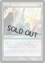 (FOIL)遥か見/Farseek《日本語》【FNM Promos】
