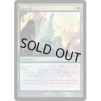 (FOIL)遥か見/Farseek《日本語》【FNM Promos】