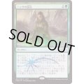 [EX+](FOIL)ニッサの巡礼/Nissa's Pilgrimage《日本語》【FNM Promos】