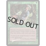 (FOIL)クウィリーオン・レインジャー/Quirion Ranger《英語》【FNM Promos】
