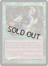 (FOIL)クウィリーオン・レインジャー/Quirion Ranger《英語》【FNM Promos】