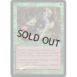 画像1: [EX+](FOIL)クウィリーオン・レインジャー/Quirion Ranger《英語》【FNM Promos】