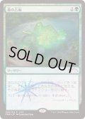 [EX+](FOIL)森の占術/Sylvan Scrying《日本語》【FNM Promos】