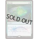 (FOIL)森の占術/Sylvan Scrying《日本語》【FNM Promos】