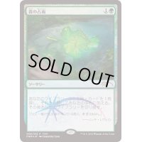 (FOIL)森の占術/Sylvan Scrying《日本語》【FNM Promos】